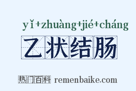 乙状结肠是什么意思的图片